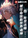 我,死灵法师,被任命拯救世界诸神?