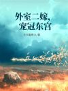 外室二嫁,宠冠东宫