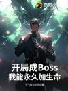 ���ֳ�Boss���������ü�����