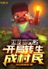 我的世界之开局转生成村民