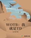 WOTB���Ҿ���TD