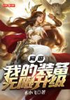 网游:我的装备无限升级